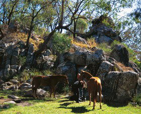  Accommodation Tasmania