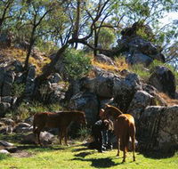 Coomba Falls - Accommodation Tasmania