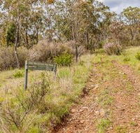 Old Mountain Road Walking Track - Accommodation Tasmania