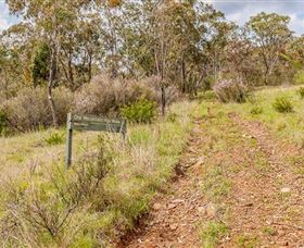 Old Mountain Road Walking Track - Accommodation Tasmania 0