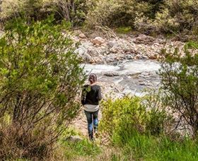 Old Mountain Road Walking Track - Accommodation Tasmania 1