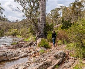 Old Mountain Road Walking Track - Accommodation Tasmania 2