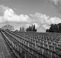 Willow Creek Vineyard - Accommodation Tasmania