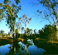 Dingo Creek Park - Accommodation Tasmania