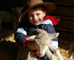 Warrook Farm - Accommodation Tasmania 1