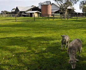 Warrook Farm - Accommodation Tasmania 4