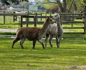 Warrook Farm - Accommodation Tasmania 6