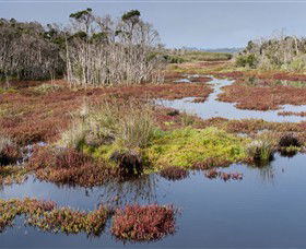 French Island National Park - Accommodation Tasmania 0