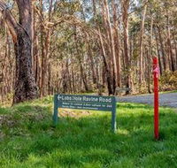 Lobs Hole Ravine 4WD Trail - Accommodation Tasmania