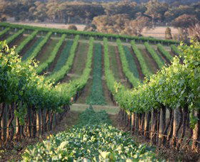 Two Rivers Wines - Accommodation Tasmania 1