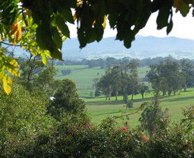 Brandy Creek Wines & View Cafe - Accommodation Tasmania 5