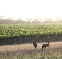 Small Forest Wine - Accommodation Tasmania