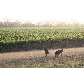 Small Forest Wine - Accommodation Tasmania 0
