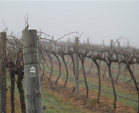 Small Forest Wine - Accommodation Tasmania 1
