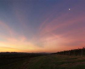 Small Forest Wine - Accommodation Tasmania 2