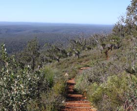 Mount Dale Walk Trail - Accommodation Tasmania 0