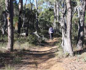 Mount Dale Walk Trail - Accommodation Tasmania 2