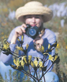 Carnamah-Eneabba Wildflower Drive - Accommodation Tasmania 1