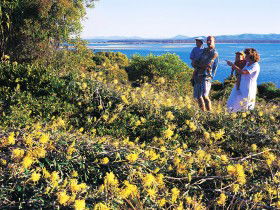 Joseph Banks Conservation Park - Accommodation Tasmania 0