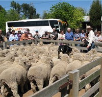 Gold Creek Station - Accommodation Tasmania