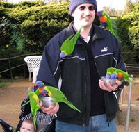 Canberra Walk In Aviary - Accommodation Tasmania