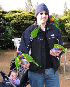 Canberra Walk In Aviary - Accommodation Tasmania 0