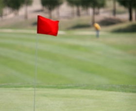 Gold Creek Country Club - Accommodation Tasmania 0