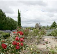Crystal Brook Lavender Farm - Accommodation Tasmania
