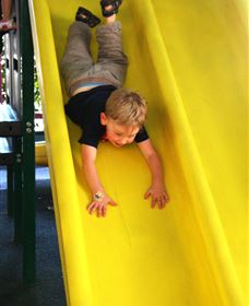 The Giant Mushroom - Accommodation Tasmania 1