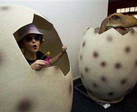 National Dinosaur Museum - Accommodation Tasmania 2