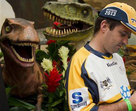 National Dinosaur Museum - Accommodation Tasmania 3