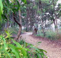 Mount Mutton Walking Trail - Accommodation Tasmania