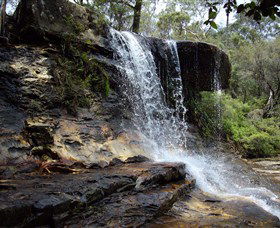 Spirit Safaris - Accommodation Tasmania 1