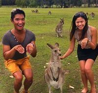 Runaway Tours - Accommodation Tasmania