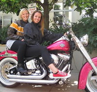 Wild Ride Harley and Motorcycle Tours - Accommodation Tasmania