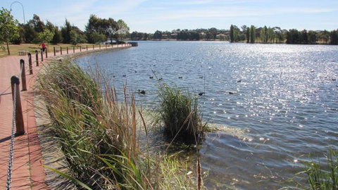 Yerrabi Pond - Accommodation Tasmania 1