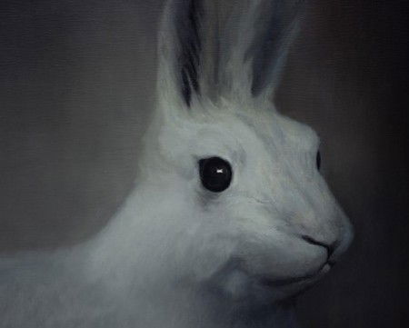 Gallery 9 - Accommodation Tasmania 2