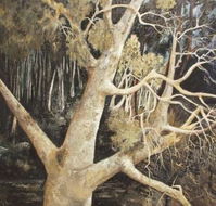 Ku-Ring-Gai Art Centre  Gallery - Accommodation Tasmania