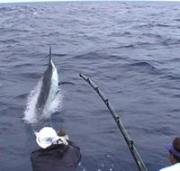 Amokura Charters - Accommodation Tasmania