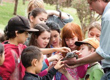 Blackbutt Reserve - Accommodation Tasmania 2