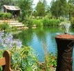 Gone Walkabout Safaris - Accommodation Tasmania