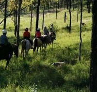 Hunter Valley Horse Riding and Adventures - Accommodation Tasmania