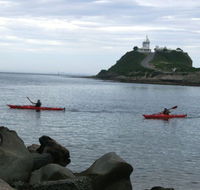 Newcastle Kayak Tours - Accommodation Tasmania