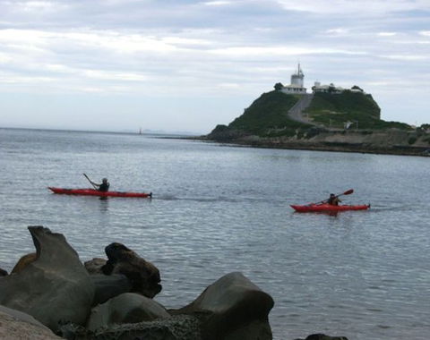 Newcastle Kayak Tours - Accommodation Tasmania 0