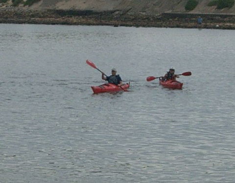 Newcastle Kayak Tours - Accommodation Tasmania 4