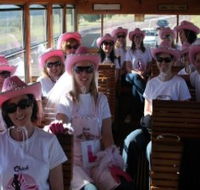 Newcastles Famous Tram - Accommodation Tasmania