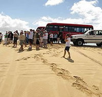 Port Stephens 4WD Tours - Accommodation Tasmania