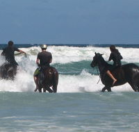 Pegasus Park Equestrian Centre - Accommodation Tasmania