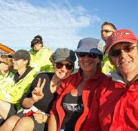 Byron Bay Whale Watching - Accommodation Tasmania