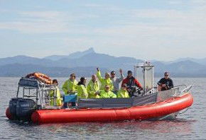 Byron Bay Whale Watching - Accommodation Tasmania 2